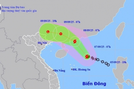 Bão số 7 có thể giật cực đại cấp 13