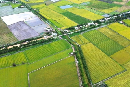 Tây Ninh đẩy nhanh công tác đấu giá quyền sử dụng đất