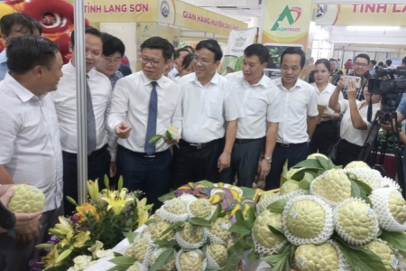 Lạng Sơn chú trọng nâng cao năng suất, chất lượng sản phẩm, hàng hóa, dịch vụ giai đoạn 2026 – 2030