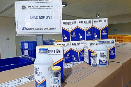 Philippines nhập khẩu thêm 340.000 liều vaccine dịch tả lợn châu Phi từ Việt Nam