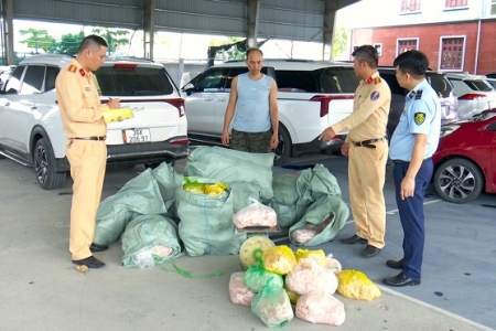 Phát hiện xe tải chở hơn 570 kg da lợn không rõ nguồn gốc tại Ninh Bình