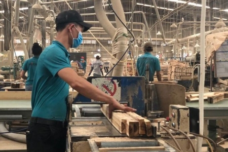 Ngành gỗ bứt tốc, xuất khẩu vượt mốc 11 tỷ USD chỉ sau 8 tháng năm 2025