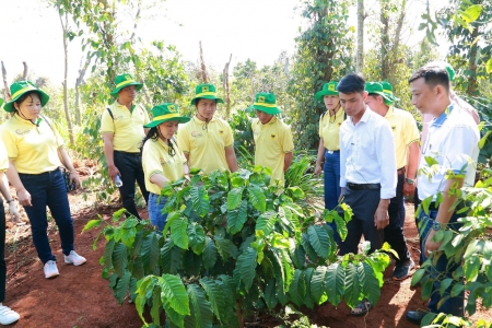 Khai phá tiềm năng cà phê Việt: Hành trình mới cùng Canh tác cà phê thông minh