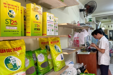 Doanh nghiệp tư nhân và cuộc chiến chống xâm phạm thương hiệu: Từ thực tiễn đến chính sách