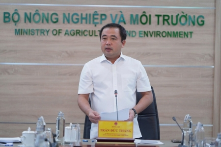 Thị trường gạo Việt Nam: Liên kết sản xuất là chìa khóa ổn định thị trường