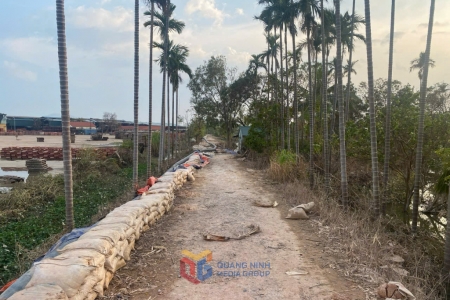 Quảng Ninh: Tập trung sửa chữa, duy tu đê cấp IV