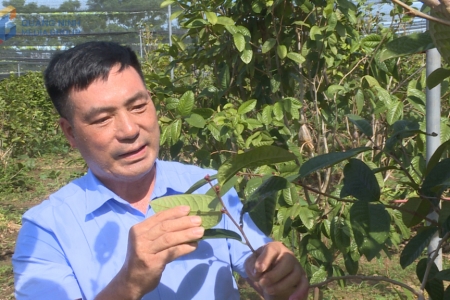 Quảng Ninh có cá nhân được vinh danh “Nông dân Việt Nam xuất sắc” năm 2025