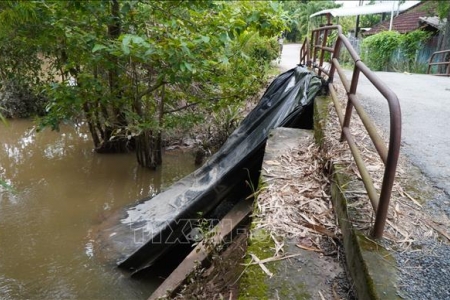 Các địa phương Nam Bộ triển khai biện pháp khẩn cấp chống mưa lũ