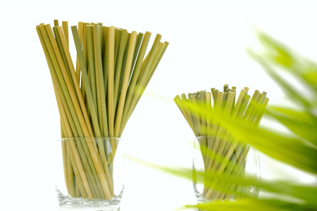 Sáng kiến xanh từ cỏ bàng vùng Đồng bằng sông Cửu Long