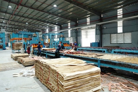 Tìm giải pháp cho ngành chế biến gỗ và lâm sản Nghệ An phát triển bền vững giai đoạn mới