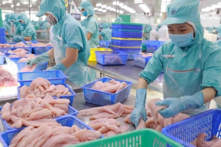 Nam Việt: Đầu năm bứt phá, cuối năm đầy thử thách