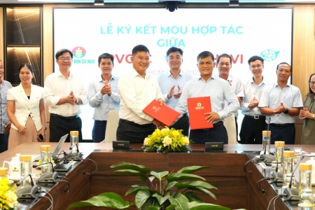 PVCFC và CHAVI ký kết thỏa thuận hợp tác