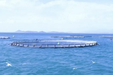 Khánh Hòa ban hành quy định nuôi trồng thủy sản bằng lồng bè tại vịnh Cam Ranh