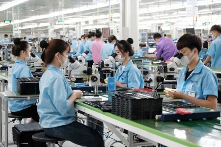 Ninh Bình tăng cường kết nối cung – cầu lao động, phát triển thị trường lao động bền vững