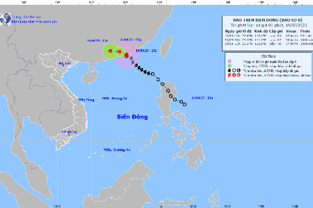 Cục Đường bộ Việt Nam yêu cầu chủ động ứng phó bão số 8, bảo đảm an toàn giao thông