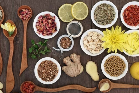 TP. HCM khởi động dự án Trung tâm Đông y Đông dược với tổng mức đầu tư 450 tỷ đồng