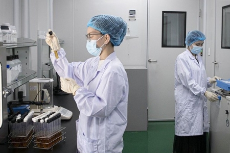 Cơ chế, chính sách thu hút chuyên gia khoa học, công nghệ, đổi mới sáng tạo và chuyển đổi số