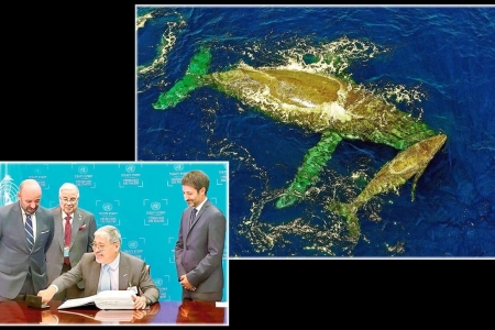 Hiệp ước toàn cầu bảo vệ biển cả: Bước ngoặt quản lý và khai thác kinh tế đại dương từ 2026