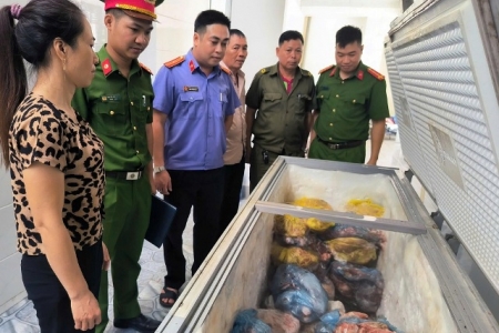 Nghệ An khởi tố vụ án đầu tiên liên quan đến việc bán thịt lợn nhiễm dịch