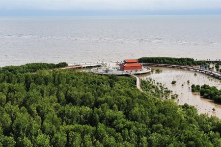 Cà Mau triển khai quy hoạch du lịch giai đoạn 2021-2030, tầm nhìn 2045