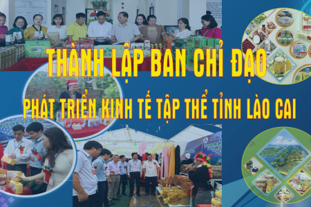 Thành lập Ban Chỉ đạo phát triển kinh tế tập thể tỉnh Lào Cai