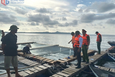 Biên phòng Cô Tô đưa người, phương tiện vào nơi tránh trú bão an toàn