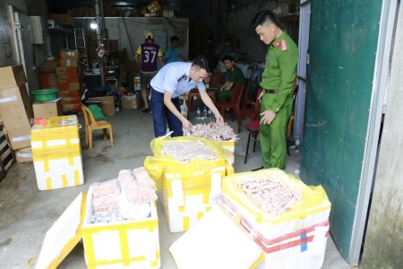 Nghệ An: Phát hiện kho lạnh chứa lượng lớn chân gà, xúc xích lậu