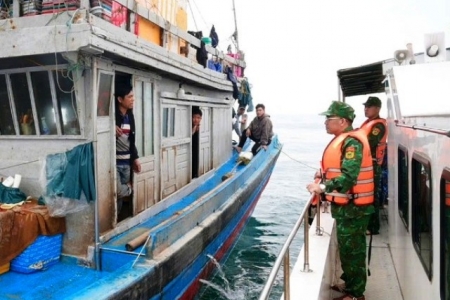 Nghệ An tăng cường giải pháp chống khai thác hải sản bất hợp pháp