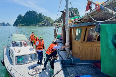 Đặc khu Vân Đồn chủ động ứng phó với bão số 9 (Ragasa)