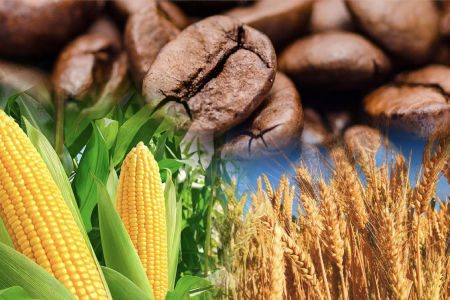 Áp lực từ nông sản, MXV-Index nối dài chuỗi 4 phiên giảm