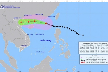 Bão số 9 di chuyển 20 km/h, gió giật nguy hiểm trên cấp 17