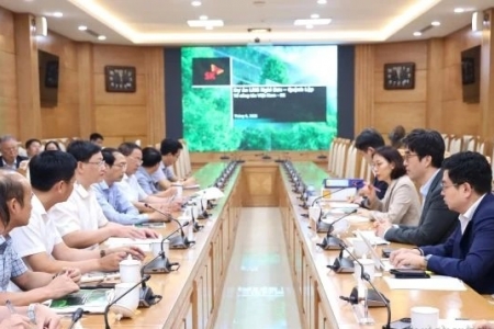 Đề xuất phương án tích hợp cụm Nhà máy Nhiệt điện khí LNG Quỳnh Lập - Nghi Sơn