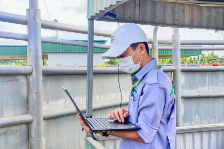 Xí nghiệp Bò Ia Puch ứng dụng công nghệ số trong quản lý đàn bò
