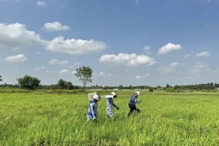 TP. HCM tăng cường thêm nhân lực giải phóng mặt bằng cao tốc TP. HCM - Mộc Bài
