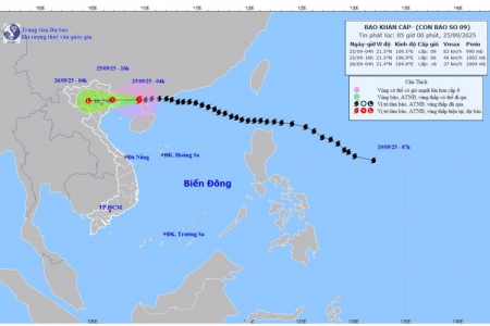 Bão Ragasa suy yếu, cách Móng Cái khoảng 170km