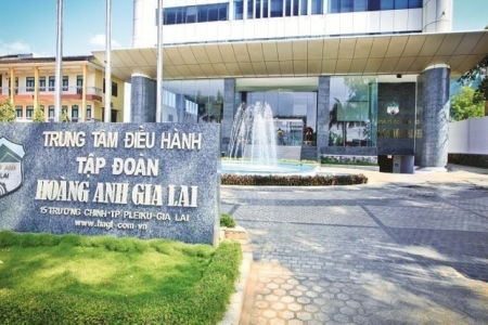 Hoàng Anh Gia Lai phát hành cổ phiếu riêng lẻ, hoán đổi hơn 2.500 tỷ đồng nợ