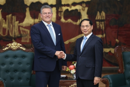 Phó Thủ tướng Bùi Thanh Sơn tiếp Cao uỷ Thương mại và An ninh kinh tế Liên minh châu Âu