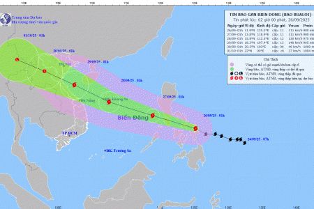 Ninh Bình chủ động ứng phó với bão Bualoi – cơn bão số 10 năm 2025