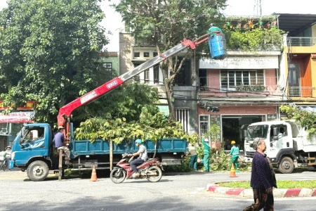 Đà Nẵng: Triển khai đồng bộ phương án phòng, chống bão Bualoi