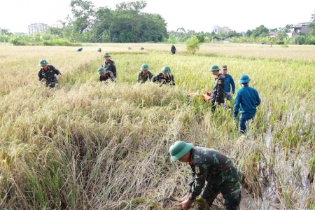 Thanh Hóa huy động hơn 2.000 cán bộ, chiến sĩ hỗ trợ người dân ứng phó bão số 10