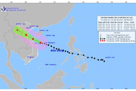 Bão số 10 tiến sát Đà Nẵng, gió giật cấp 15