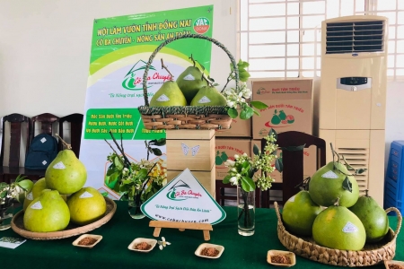 Đồng Nai sẵn sàng cho ngày hội sản phẩm OCOP và công nghiệp nông thôn tiêu biểu 2025