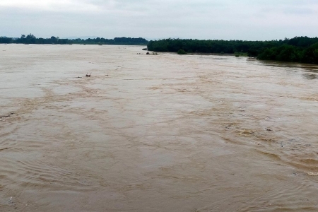 Thanh Hóa tăng mức báo động III trên sông Yên, các địa phương chủ động phương án sơ tán dân