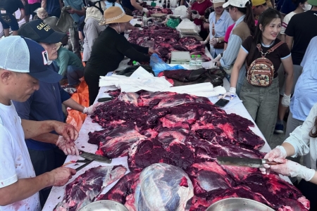 Thịt trâu chọi Đồ Sơn được người tiêu dùng săn đón