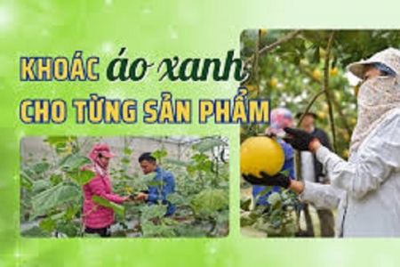 Thách thức cho sản phẩm OCOP: Cần "xanh hóa" và minh bạch để vươn ra thế giới