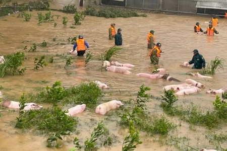 Nghệ An nỗ lực khắc phục hậu quả bão số 10