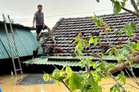 Nghệ An kêu gọi toàn dân chung tay ủng hộ đồng bào vùng bị thiệt hại do bão số 10