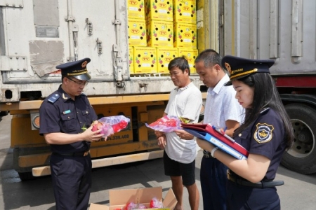 Chống buôn lậu và hiện đại hóa hải quan: Bộ Tài chính đề xuất bổ sung 9 biện pháp nghiệp vụ vào Luật Hải quan