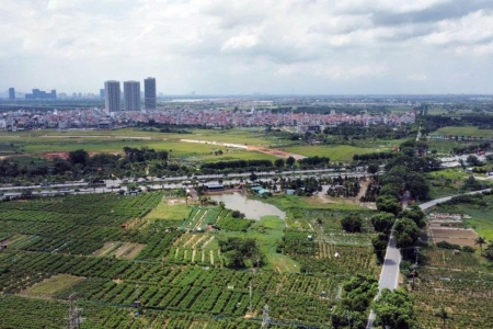 TP. HCM thí điểm xây dựng nhà ở thương mại trên đất nông nghiệp