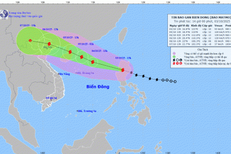 Hải Phòng triển khai các biện pháp ứng phó với bão Matmo - cơn bão số 11